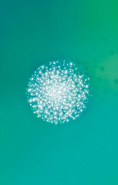 Burbuja brillante en un fondo de color verde aqua.