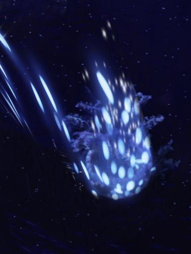 Constelación en fuga | Constellation in Flight (120 × 90 cm) Pleione | Susana Mazzarino — Medusas de luz, pintura digital contemporánea