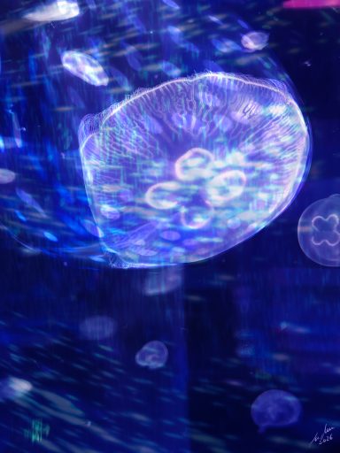 Emanación eléctrica | Electric Emanation (120 × 90 cm) Pleione | Susana Mazzarino — Medusas de luz, pintura digital contemporánea