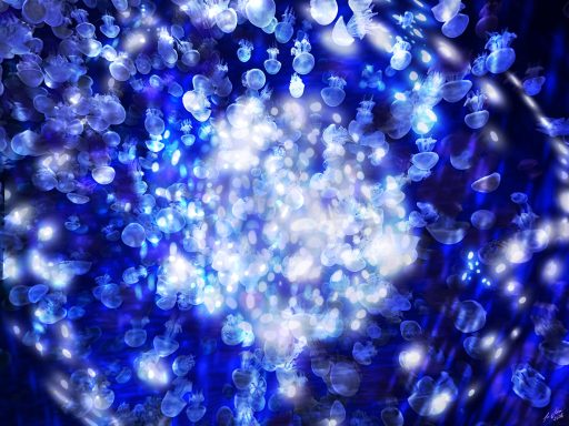 Campo encendido | Lit Field (90 × 120 cm) Pleione | Susana Mazzarino — Medusas de luz, pintura digital contemporánea