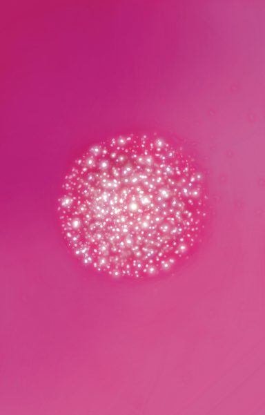 Círculo brillante y difuso sobre un fondo rosa.